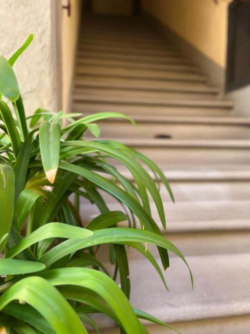 Il Canto De' Cenci Apartment Арецо Екстериор снимка