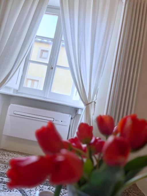 Il Canto De' Cenci Apartment Арецо Екстериор снимка